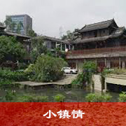 小镇情第一部下篇