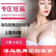 海鸟歌舞团的故事上篇